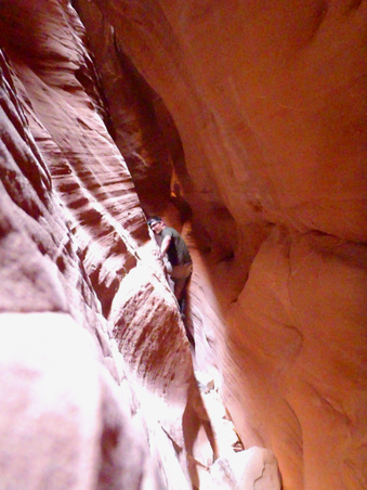 Enlarge photo 192