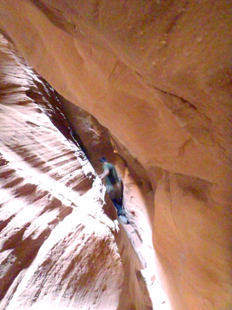 Enlarge photo 193