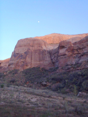 Enlarge photo 197