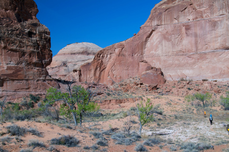 Enlarge photo 208