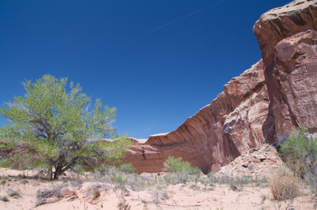 Enlarge photo 215