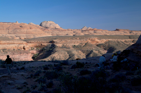 Enlarge photo 235