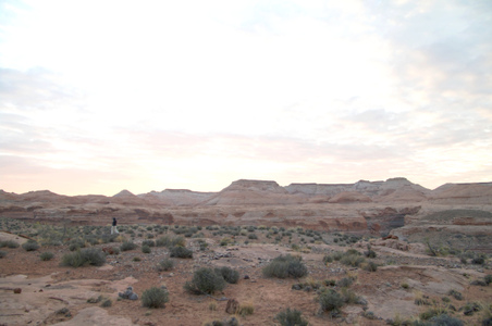 Enlarge photo 243