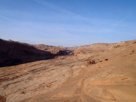 Enlarge photo 259