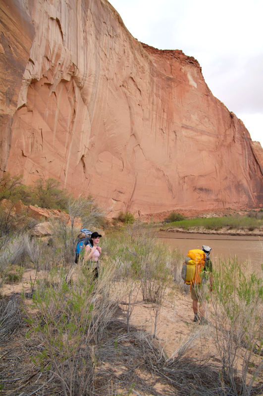View Original Image