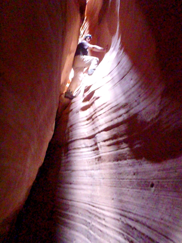 View Original Image