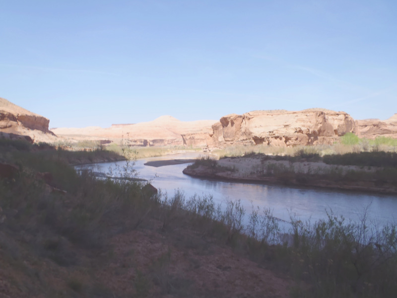 View Original Image