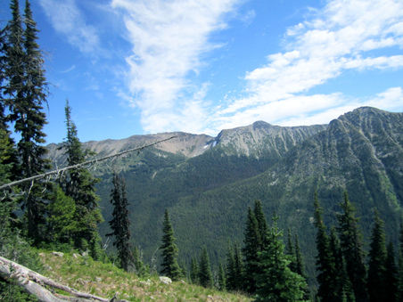 Enlarge photo 18