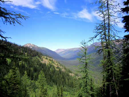 Enlarge photo 24