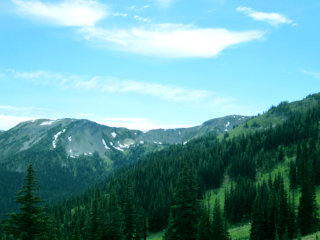 Enlarge photo 25
