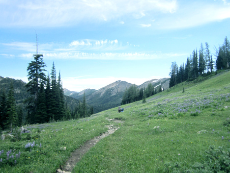Enlarge photo 27
