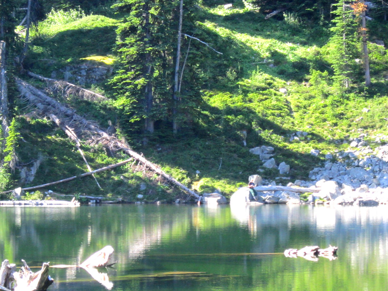 View Original Image