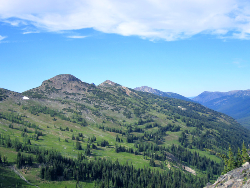 View Original Image
