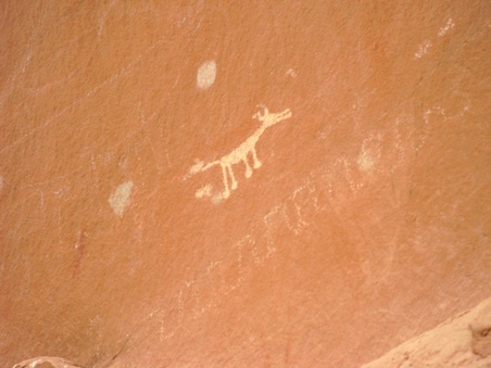Enlarge photo 30