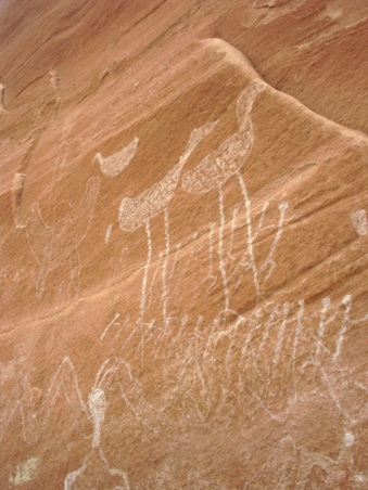 Enlarge photo 47