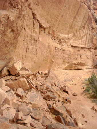 Enlarge photo 74