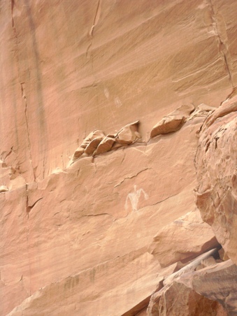 Enlarge photo 75