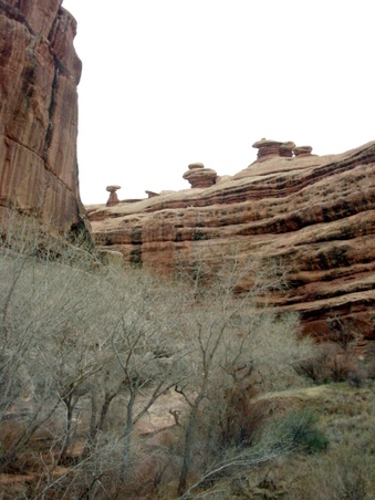 Enlarge photo 76