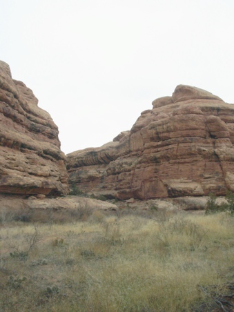 Enlarge photo 82