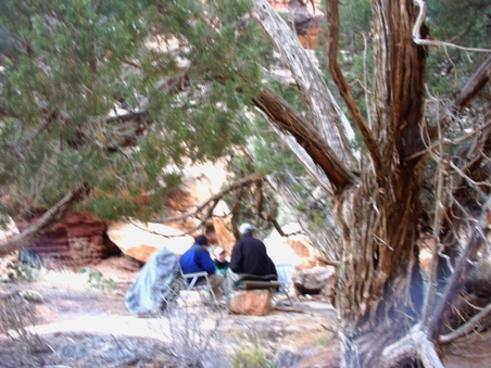 Enlarge photo 83