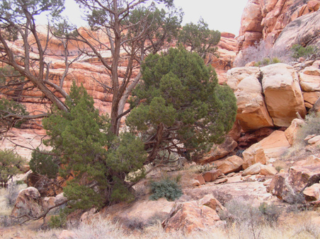 Enlarge photo 84