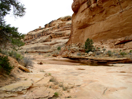 Enlarge photo 87