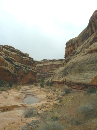 Enlarge photo 89