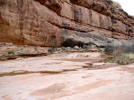Enlarge photo 90