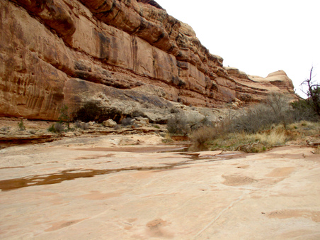 Enlarge photo 91