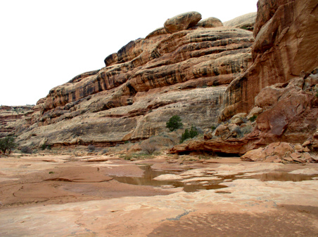 Enlarge photo 92