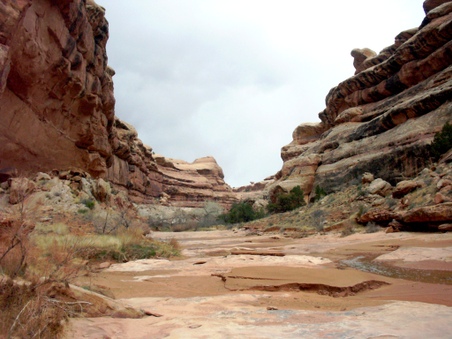 Enlarge photo 93