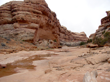 Enlarge photo 96