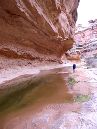 Enlarge photo 99