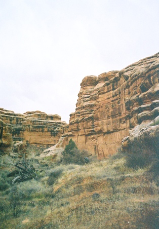 Enlarge photo 102