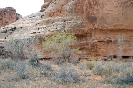 Enlarge photo 103