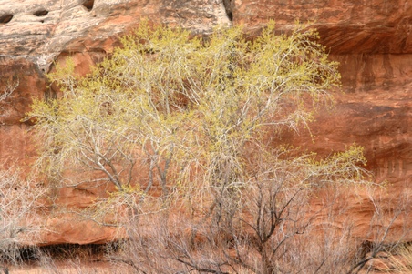 Enlarge photo 104