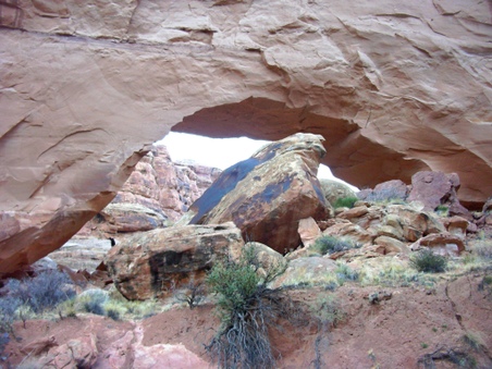 Enlarge photo 105