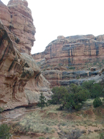 Enlarge photo 106