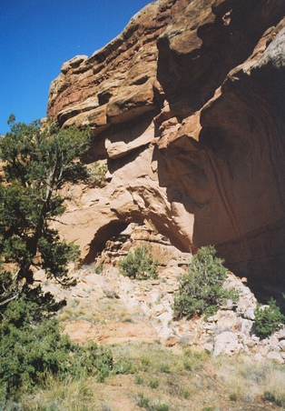 Enlarge photo 30