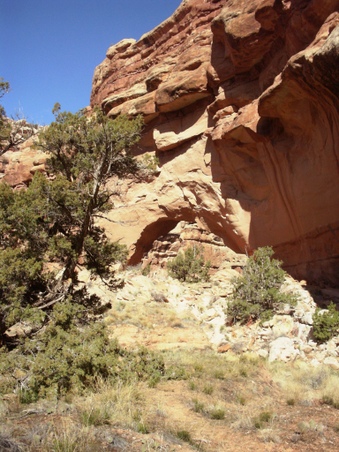 Enlarge photo 31