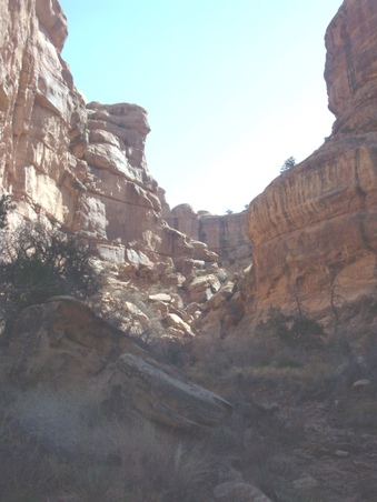 Enlarge photo 32