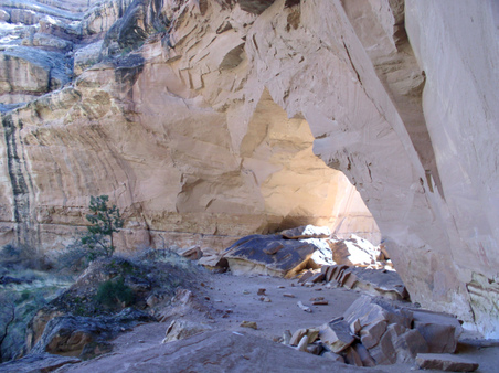 Enlarge photo 35