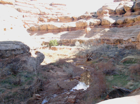 Enlarge photo 36