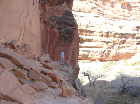 Enlarge photo 37