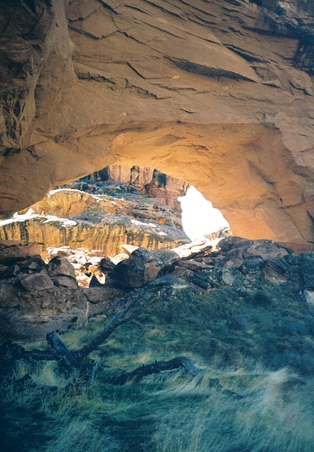 Enlarge photo 42