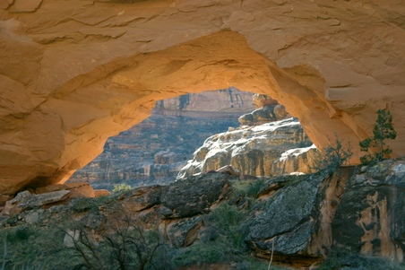 Enlarge photo 43