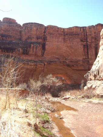 Enlarge photo 44