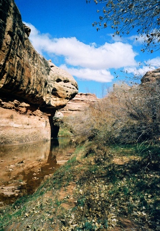 Enlarge photo 45