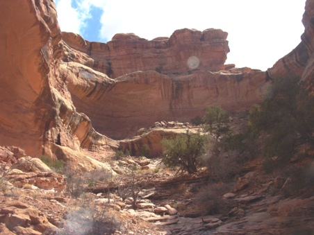Enlarge photo 46