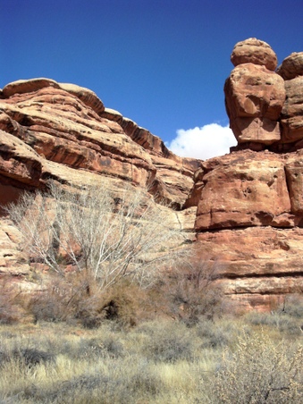 Enlarge photo 47